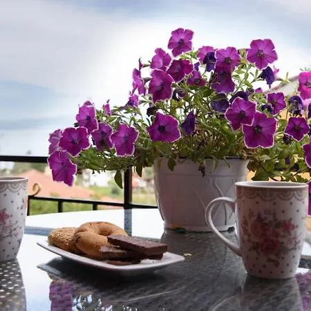 Seaview - Calmare Holiday home Petriti (Corfu)